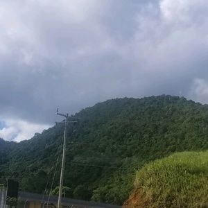 Meet your Posher, Noelle